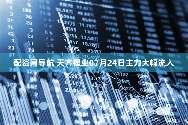 配资网导航 天齐锂业07月24日主力大幅流入